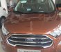 Ford EcoSport 2018 - Bán xe Ford Ecosport 1.5L AT Titanium, quá đã 