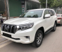 Toyota Prado 2018 - Bán Toyota Prado năm 2018 màu trắng, nhập khẩu nguyên chiếc, giao ngay, LH 0985102300