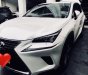 Lexus NX 300 2018 - Bán Lexu Nx300 năm 2017, siêu lướt mới đi 10.000km sản xuất 2018 màu trắng, nhập khẩu nguyên chiếc, bao kiểm tra hãng