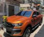 Ford Ranger Wildtrak 3.2L 4x4 AT 2017 - Ô tô cũ Ford Ranger Wildtrak 3.2L 4x4 AT đời 2017, màu nâu, nhập khẩu nguyên chiếc