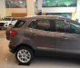 Ford EcoSport  1.5 AT Titanium 2018 - Bán xe Ford EcoSport Ford Ecosport 2018 đời 2018, màu xám (ghi)