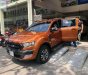 Ford Ranger Wildtrak 3.2L 4x4 AT 2017 - Ô tô cũ Ford Ranger Wildtrak 3.2L 4x4 AT đời 2017, màu nâu, nhập khẩu nguyên chiếc