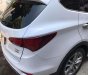 Hyundai Santa Fe  2.2L 2016 - Bán Santa Fe chưa bao giờ hết hót