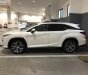 Lexus RX  350 2018 - Bán ô tô Lexus RX 350 sản xuất năm 2018, màu trắng, xe nhập