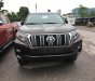 Toyota Prado VX 2018 - Bán xe Toyota Prado VX năm sản xuất 2018, màu đồng ánh kim, nhập khẩu nguyên chiếc