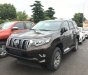 Toyota Prado VX 2018 - Bán xe Toyota Prado VX năm sản xuất 2018, màu đồng ánh kim, nhập khẩu nguyên chiếc