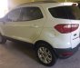 Ford EcoSport Titanium 2018 - Bán Ecosport Titanium 2015, xe gia đình, còn mới, bão dưỡng hãng