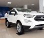 Ford EcoSport  Titanium AT 2018 - Bán Ford EcoSport năm sản xuất 2018, màu trắng giá tốt