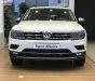 Volkswagen Tiguan Allspace 2018 - Cần bán xe Volkswagen Tiguan Allspace sản xuất 2018, màu trắng 