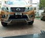 Nissan Navara 2017 - Chính chủ bán xe Nissan Navara sản xuất năm 2017, nhập khẩu nguyên chiếc