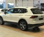 Volkswagen Tiguan Allspace 2018 - Cần bán xe Volkswagen Tiguan Allspace sản xuất 2018, màu trắng 