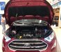 Ford EcoSport Titanium 2018 - Giá ưu đãi tốt cho chuyên gia đường phố, bán Ford Ecosport Titanium, đủ màu giao ngay. 0968.912.236