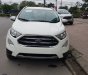 Ford EcoSport Titanium 2018 - Bán Ford EcoSport Titanium đời 2018, giá sập sàn... 0968.912.236