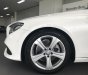 Mercedes-Benz E class 2017 - Bán Mercedes E250 2017 cũ, màu trắng, nội thất đen, 20km