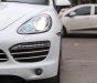 Porsche Cayenne 2014 2014 - Bán Porscher Cayenne đời 2014