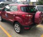 Ford EcoSport Titanium 2018 - Giá ưu đãi tốt cho chuyên gia đường phố, bán Ford Ecosport Titanium, đủ màu giao ngay. 0968.912.236