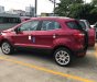 Ford EcoSport Titanium 2018 - Giá ưu đãi tốt cho chuyên gia đường phố, bán Ford Ecosport Titanium, đủ màu giao ngay. 0968.912.236