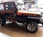Jeep Wrangler 1997 - Bán Jeep Wrangler năm sản xuất 1997, nhập khẩu nguyên chiếc chính chủ giá cạnh tranh