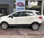 Ford EcoSport 1.5L AT Titanium 2016 - Bán ô tô Ford EcoSport 1.5L AT Titanium, 2016 xe chạy siêu lướt 2.500km