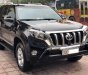 Toyota Prado VX 2015 - Bán Toyota Land Cruise Prado VX nhập khẩu nguyên chiếc mới 100%