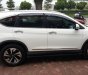 Honda CR V TG 2.4 2017 - Bán ô tô Honda CR V TG 2.4 năm 2017, màu trắng