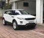 LandRover Evoque Dynamic 2013 - Bán LandRover Evoque sản xuất cuối 2013 model 2014, hộp số 9 cấp - xe đẹp chính chủ