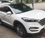 Hyundai Santa Fe 2.0   2017 - Bán xe Hyundai Santa Fe 2.0 đời 2017, màu trắng, nhập khẩu nguyên chiếc giá cạnh tranh