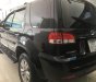 Ford Escape XLT 2.3AT 2010 - Bán Ford Escape XLT sản xuất 2010, hai cầu số tự động