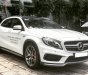 Mercedes-Benz GLA-Class  GLA 45 AMG 4Matic 2016 - Bán Mercedes GLA 45 AMG 4Matic 2016, màu trắng, nhập khẩu