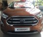 Ford EcoSport Titanium 2018 - Bán Ford Ecosport 2018 - ưu đãi khủng