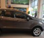 Ford EcoSport Titanium 1.5L AT 2018 - Bán Ford EcoSport Titanium 2018, màu xám (ghi) chỉ cần 200tr nhận xe ngay - LH: 0988551618