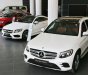 Mercedes-Benz GLC-Class GLC300 2018 - Cần bán xe Mercedes GLC300 đời 2018 chỉ với 500 triệu, hỗ trợ trả góp giá ưu đãi