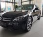 Mercedes-Benz C class C200 2018 - Bán xe Mercedes C200 đời 2018, màu đen