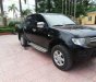 Mitsubishi Triton 2010 - Bán Mitsubishi Triton năm sản xuất 2010, màu đen, xe nhập