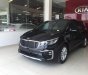 Kia Sedona Platinum D 2018 - Bán Kia Sedona 2018 giá tốt, có xe sẵn, thủ tục nhanh gọn, hỗ trợ vay lãi suất thấp - LH: 0395383514