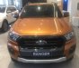 Ford Ranger XLS 2.2 MT 4x2 2018 - Bán xe Ford Ranger 3.2L và 2.0L Wildtrak AT, 2.2L XLS AT và MT 2018, xe nhập khẩu Thái, LH ngay: 093.543.7595