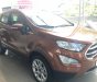 Ford EcoSport Titanium 2018 - Bán Ford Ecosport 2018 - ưu đãi khủng