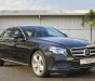 Mercedes-Benz E class E250 2018 - Bán xe Mercedes E250 2018