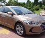 Hyundai Elantra 2017 - Bán xe Hyundai Elantra đời 2017, màu nâu, nhập khẩu xe gia đình