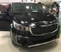 Kia Sedona Luxury 2018 - Bán xe Kia Sedona Luxury sản xuất 2018, màu đen