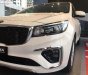 Kia Sedona Platinum D 2018 - Bán xe Kia Sedona Platinum D sản xuất năm 2018, màu trắng