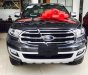 Ford Everest Titanium 2.0L 4x4 AT 2018 - Cần bán xe Ford Everest Titanium 2.0L 4x4 AT 2018, màu đen, nhập khẩu