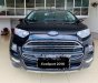 Ford EcoSport Titanium 2016 - Bán Ford Ecosport Titanium sản xuất 2016, màu đen độ nhiều đồ