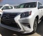 Lexus GX  460 2018 - Bán Lexus GX 460 sản xuất 2018, xe mới 100%