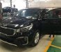 Kia Sedona Luxury 2018 - Bán xe Kia Sedona Luxury sản xuất 2018, màu đen