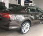 Volkswagen Passat 1.8 Bluemotion 2018 - Bán xe Volkswagen Passat 1.8 Bluemotion đời 2018, màu nâu, nhập khẩu, công nghệ an toàn