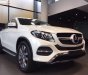 Mercedes-Benz GLE-Class GLE 400 4Matic 2018 - Cần bán Mercedes GLE 400 4Matic năm 2018, màu trắng, nhập khẩu