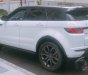 LandRover Evoque 2012 - Cần bán gấp LandRover Evoque sản xuất 2012, màu trắng, nhập khẩu  