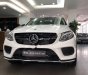 Mercedes-Benz GLE-Class  GLE 43 AMG 4Matic 2018 - Bán Mercedes GLE 43 AMG 4Matic đời 2018, màu trắng, nhập khẩu