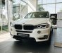 BMW X3 X-Drive 35i  2018 - BMW X5 X-Drive 35i sx 2018, sẵn xe giao ngay, hỗ trợ vay 85% giá trị xe